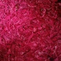 rode zuurkool met appel