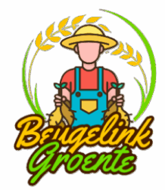 beugelinkgroente.nl