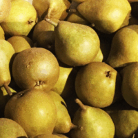 gieser wildeman stoofperen