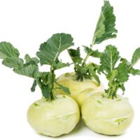 koolrabi groen