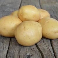 melody aardappels 5kg