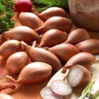 Franse sjalotten  500 Gram